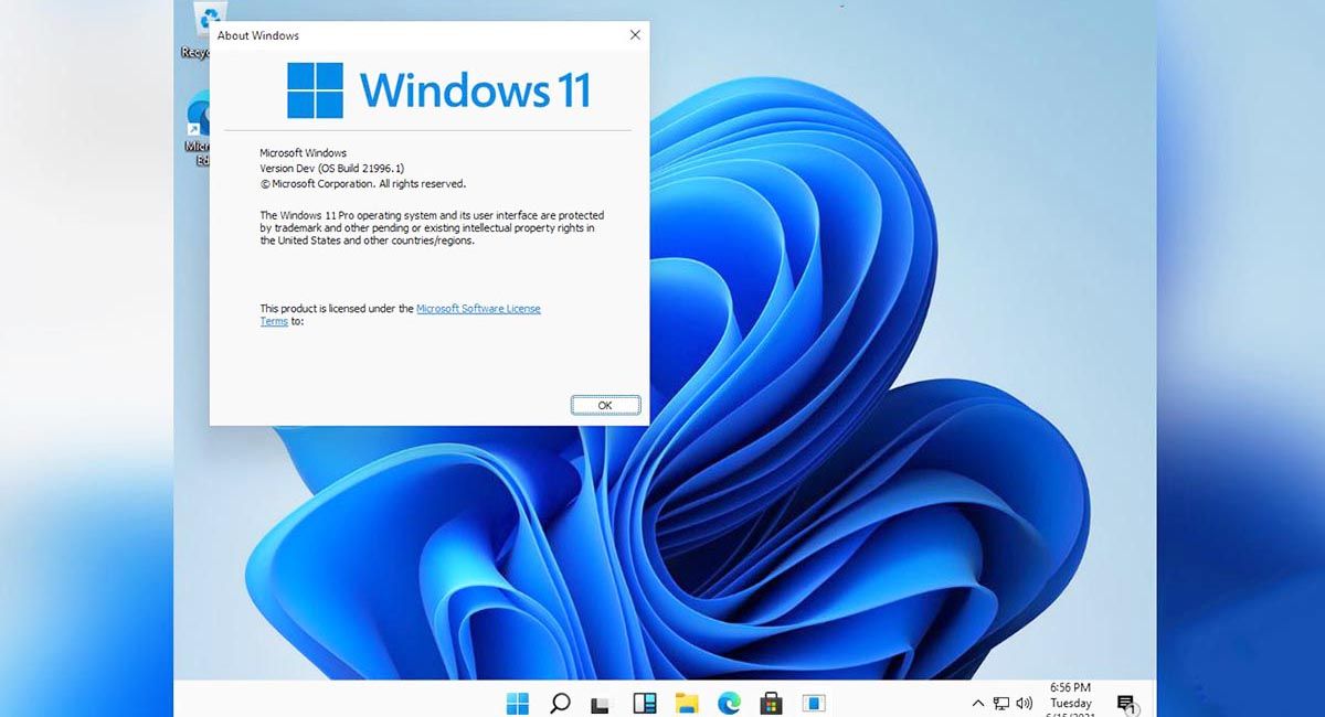 windows 11 será una actualización gratuita licencia
