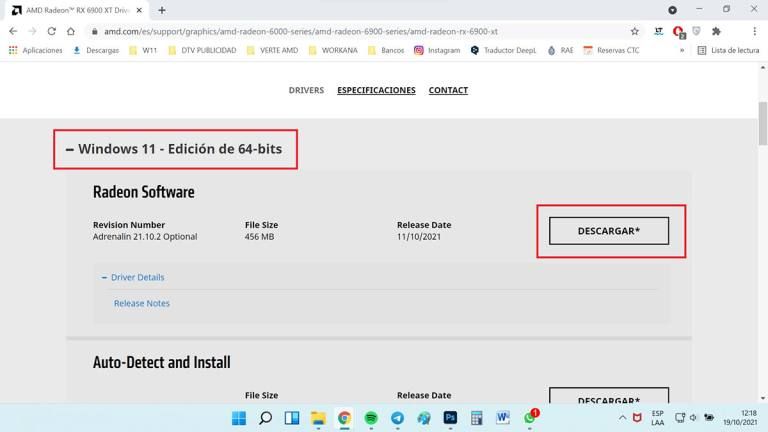 Amd Radeon R4 Drivers Windows 1.0 Descargar drivers AMD Radeon para Windows 11