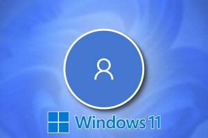 Cómo eliminar un usuario o una cuenta en Windows 11