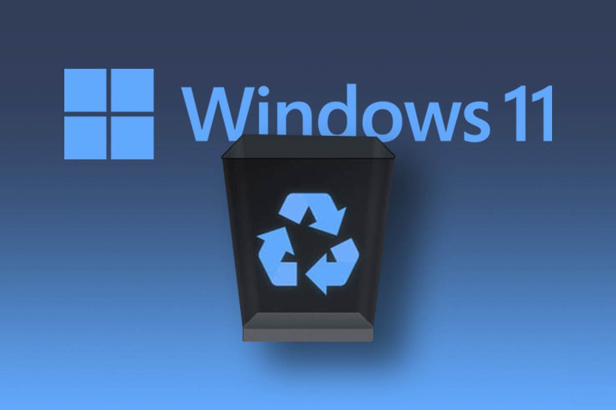 Archivos eliminados no aparecen en la Papelera de Windows 11 solución