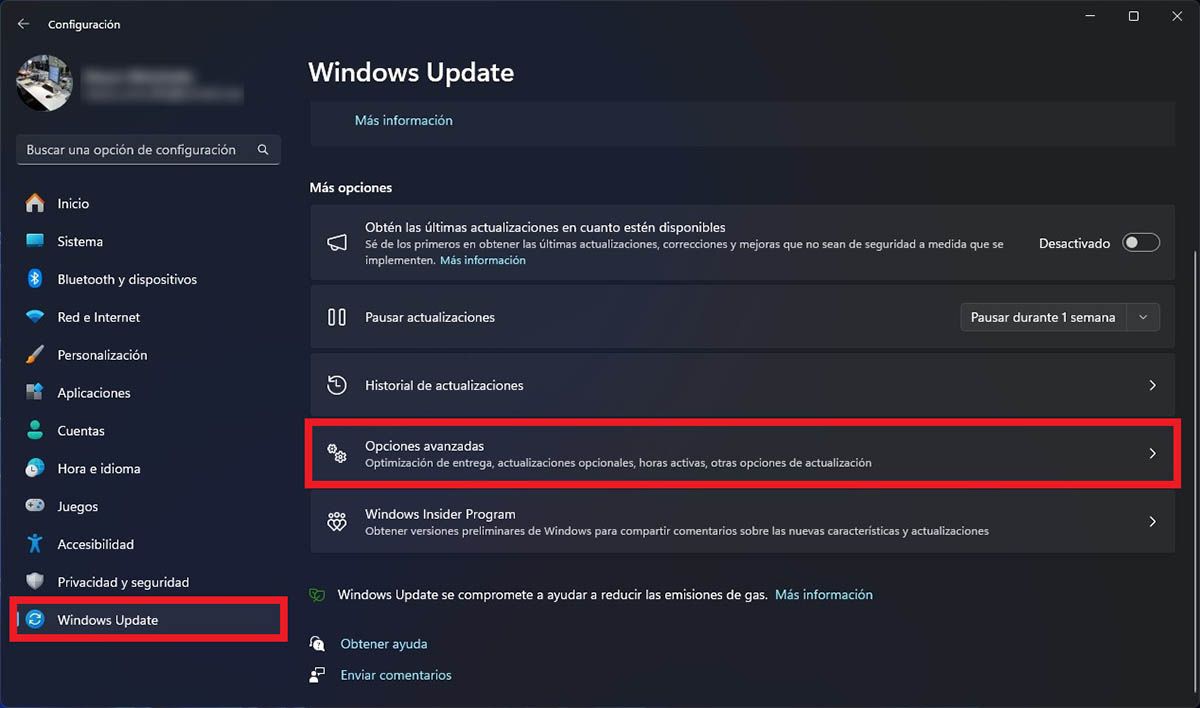 Opciones avanzadas Windows update Windows 11