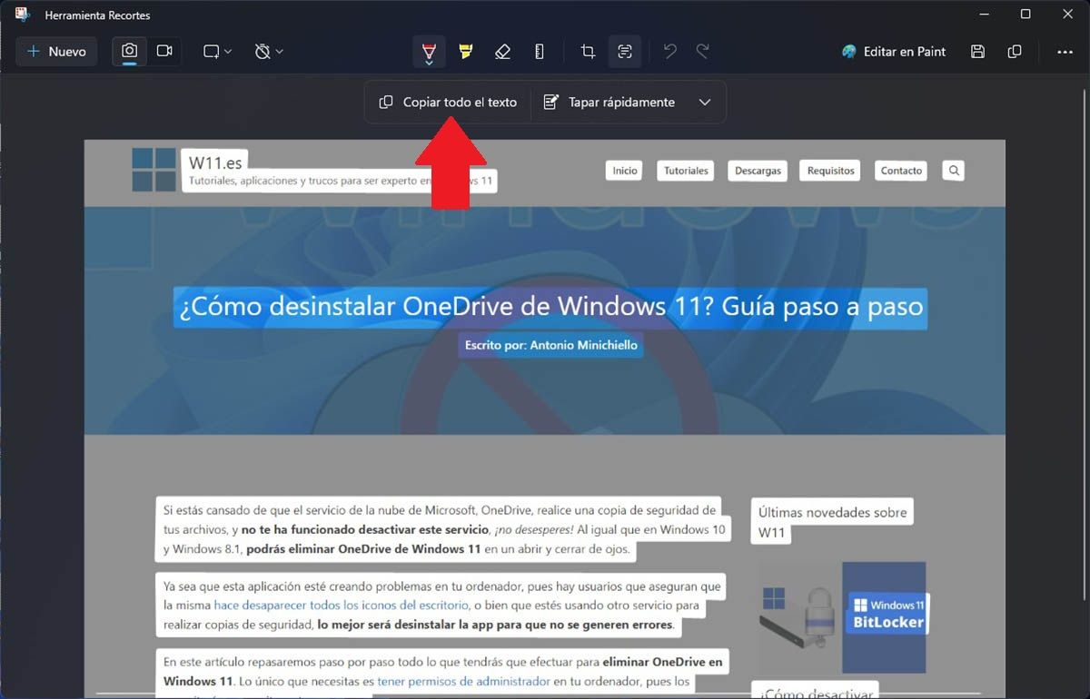 Copiar el texto de una captura en Windows 11