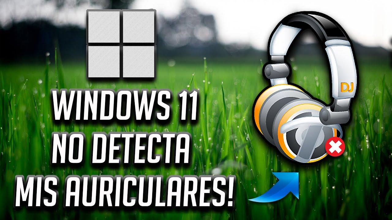 Windows 11 no detecta altavoces USB