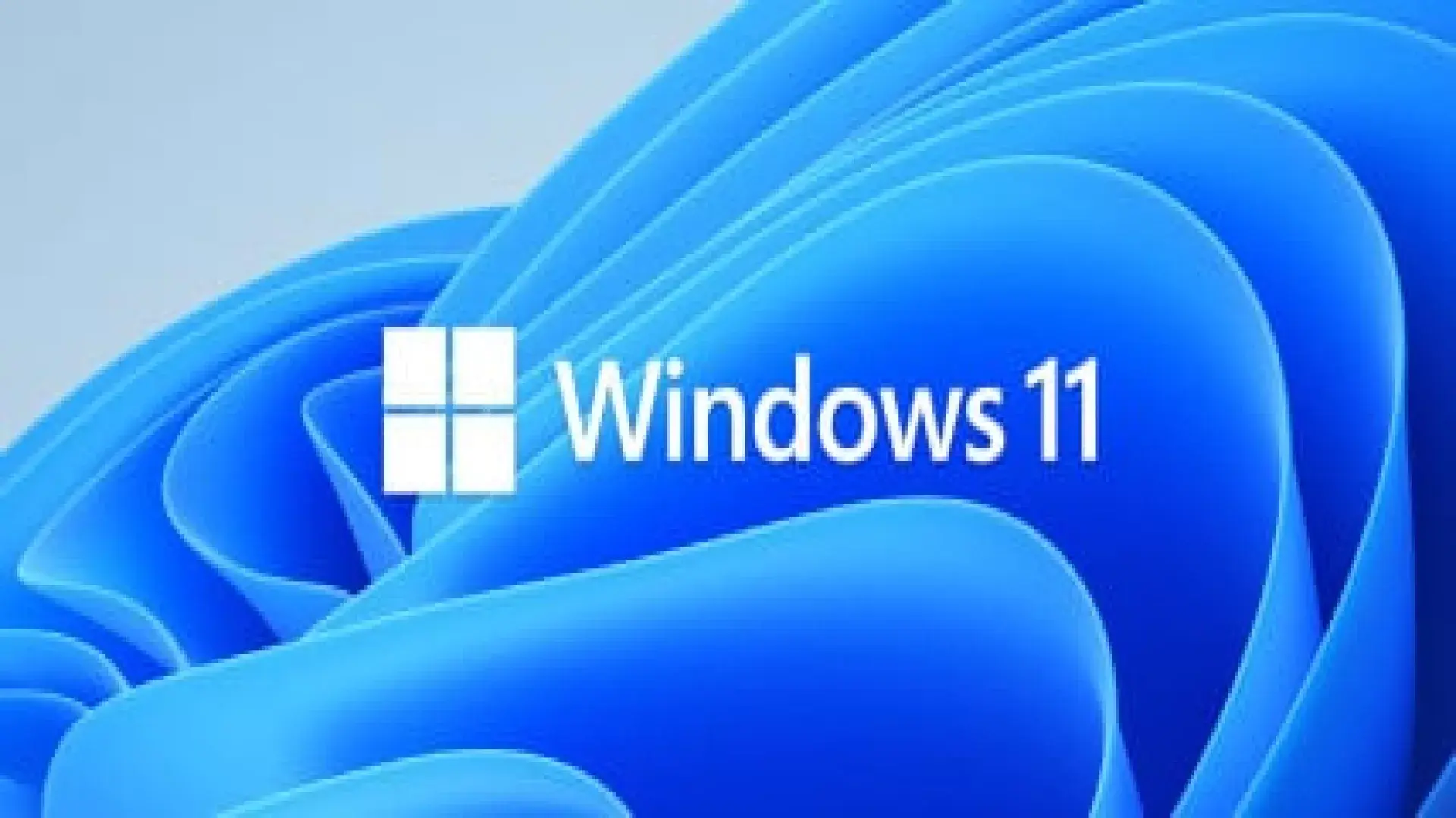 Tiendas para conseguir licencias Windows 11 Tiendas para comprar licencias Windows 11