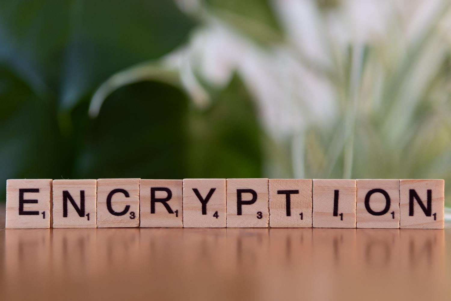 Bloques de madera formando la palabra 'encryption', simbolizando el cifrado de datos en el protocolo TLS.