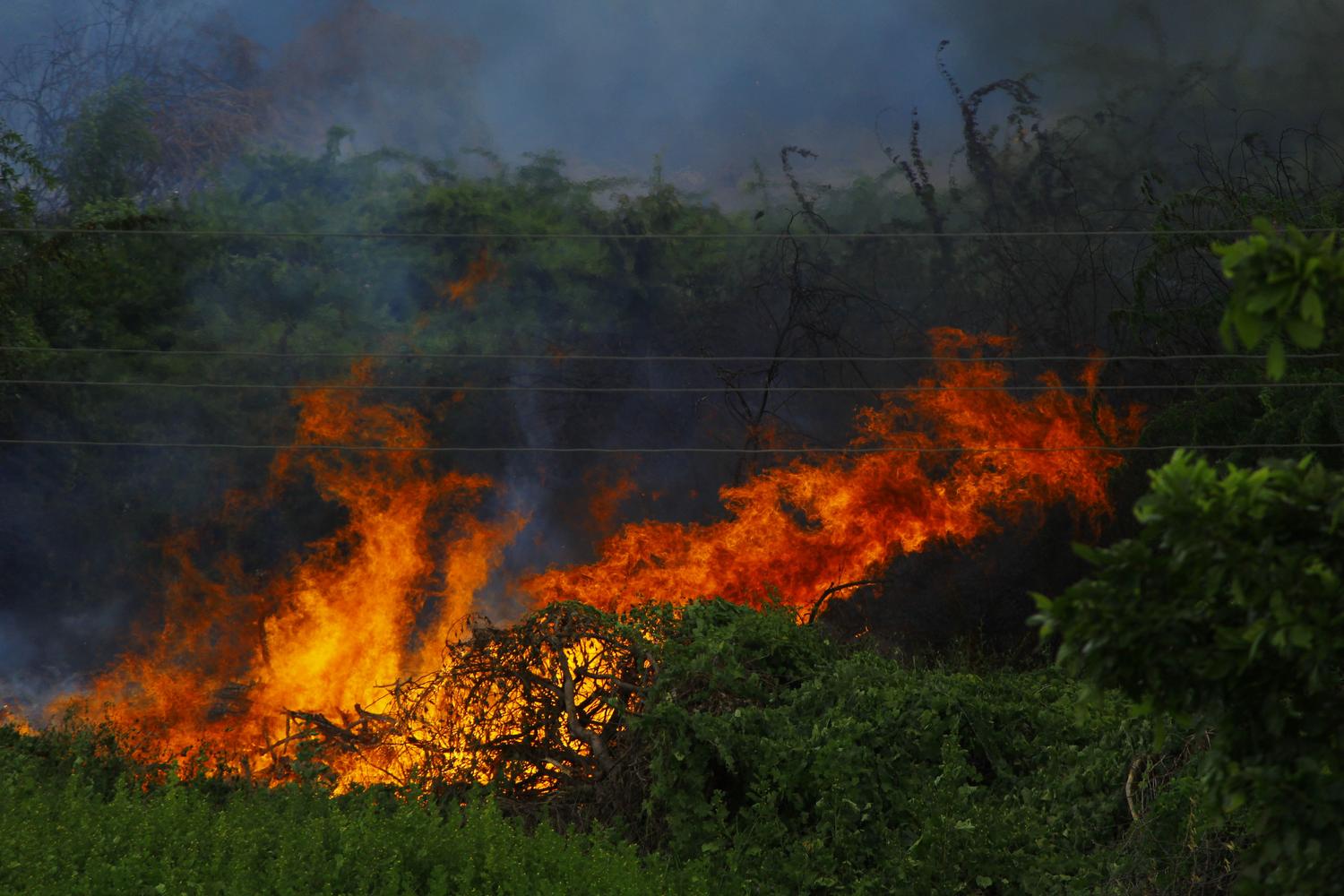 Incendio forestal intenso consumiendo vegetación, mostrando la amenaza que los cortafuegos físicos buscan detener.